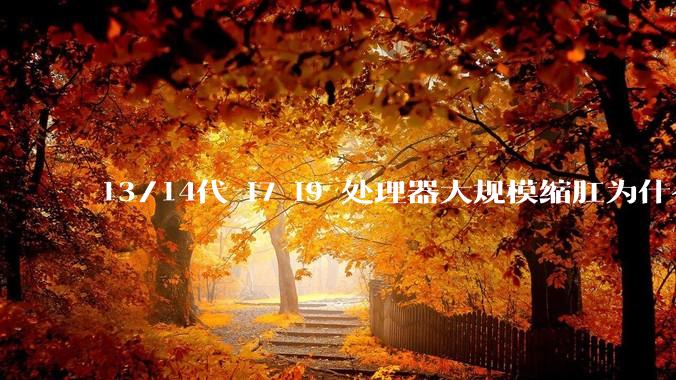 13/14代 i7 i9 处理器大规模缩肛为什么没有在老化测试时发现?