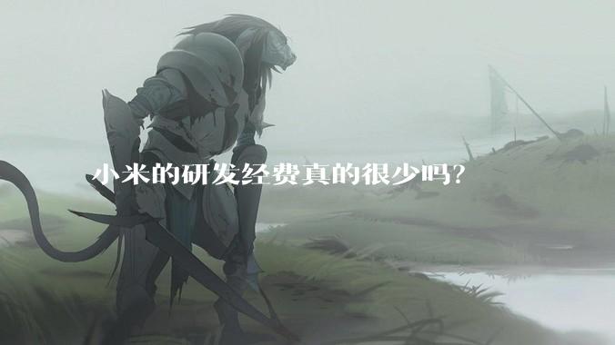小米的研发经费真的很少吗？